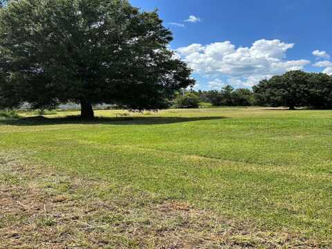 16915 LECLARE GROVES WAY, LUTZ, FL 33558