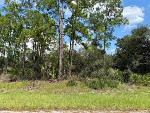 Lot 20 BALSAM STREET, EUSTIS, FL 32736