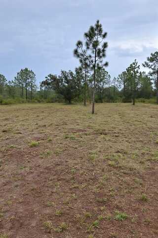 1108 PALM AVENUE, INDIAN LAKE ESTATES, FL 33855