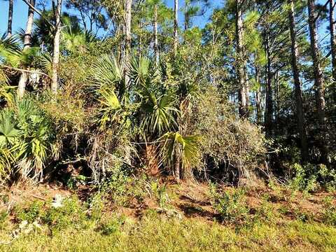 LA ROSA AVENUE, NORTH PORT, FL 34286
