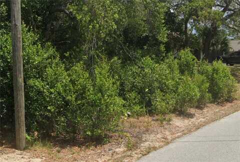 7291 RADCLIFF STREET, SPRING HILL, FL 34606