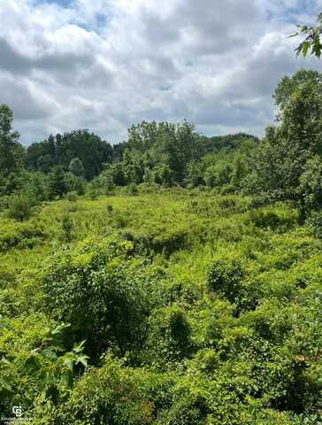 Yale Rd, Yale, MI 48097