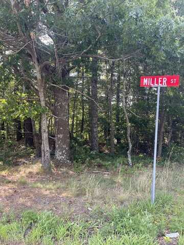 Rear Wareham Street, Middleboro, MA 02346