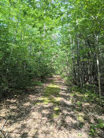 Lot 9a Maple Ridge Road, Harrison, ME 04040