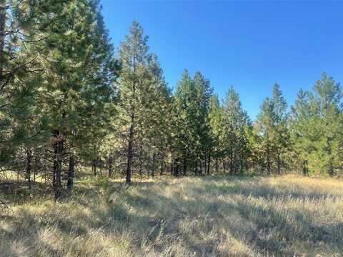 Jetter Meadow Road lot: 55, Polson, MT 59860