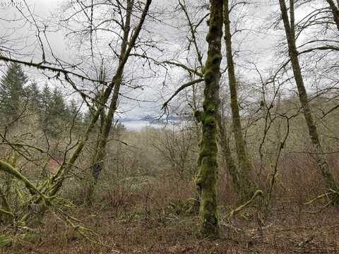 NE 197th Ct, Amboy, WA 98601