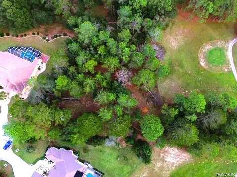 17 Woodlee Court South, Homosassa, FL 34446