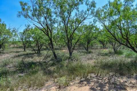 14 Acres E FM 765, Lohn, TX 76852