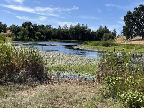 13555 Oakstream Rd, Plymouth, CA 95669