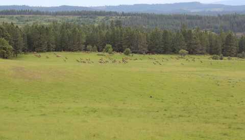 84658 Troy Rd., Wallowa, OR 97885