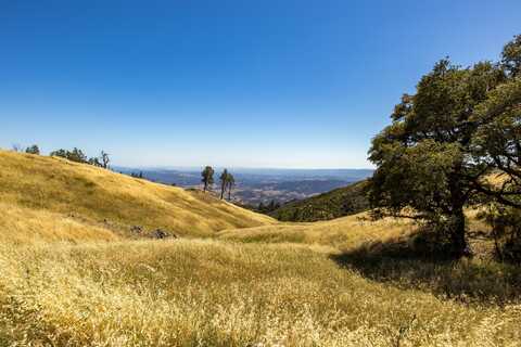 Pine Flat Rd, Healdsburg, CA 95448