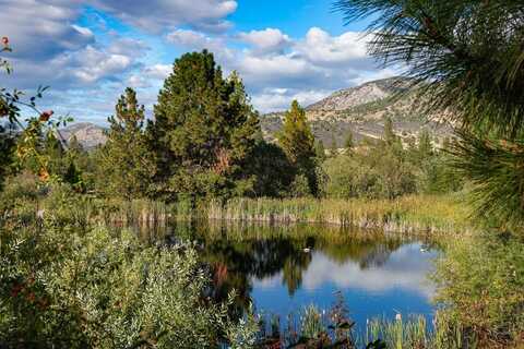 10017 S Hwy 3, Callahan, CA 96014