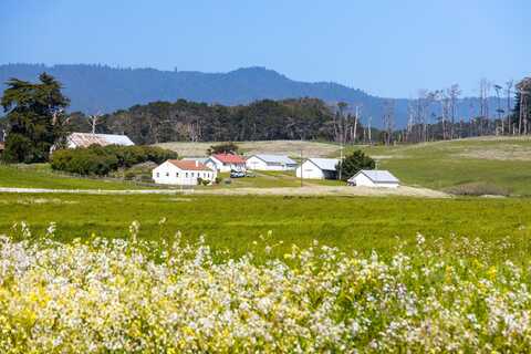 21601 S Highway 1, Point Arena, CA 95468