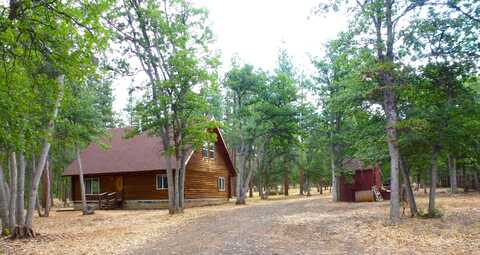 29119 Day Road, McArthur, CA 96056
