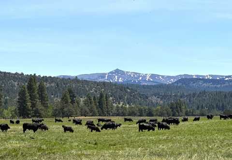 County Road 199, Alturas, CA 96101