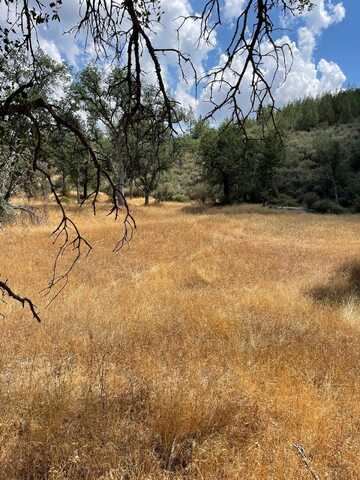 10217 Holtzel Rd, Coulterville, CA 95311