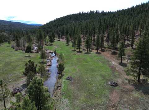 000 Roney Flat Road, Adin, CA 96006