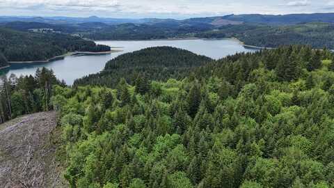 83715 Peninsula Rd Fall Creek OR, Fall Creek, OR 97438