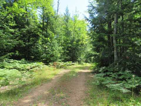 TBD Off Goldmine Rd Parcel C, Big Bay, MI 49808