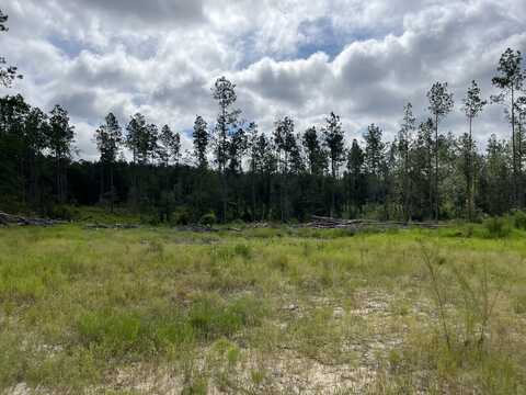 0 Woods Road, Lucedale, MS 39452