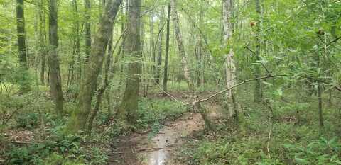 0 Rattlesnake Road, Moundville, AL 35474