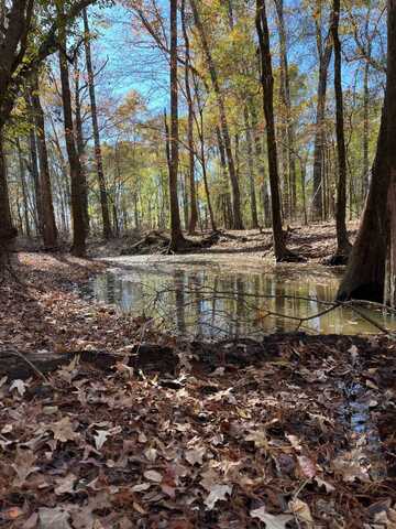 0 HWY155, Quitman, LA 71268
