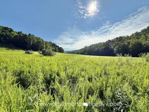 0 Panthers Creek Rd, Nettie, WV 26681