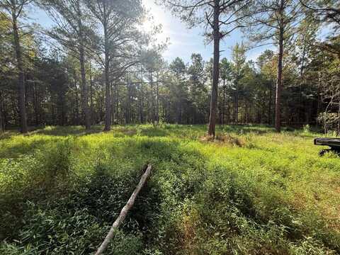 000 Bateman rd, Moscow, TN 38057