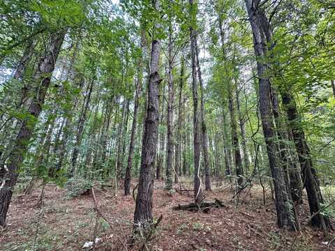 4 Prentiss Crump Road, Terry, MS 39170
