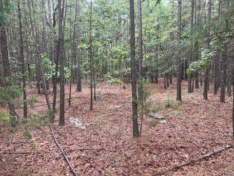 TBD Carpenter Lane, Wister, OK 74966