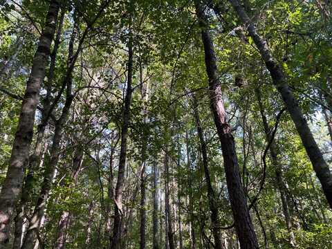 452 Roosevelt Rd, Lower Peach Tree, AL 36751