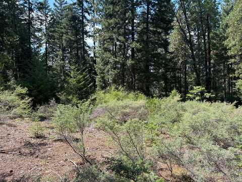Castle Creek Rd., Mount Shasta, CA 96067
