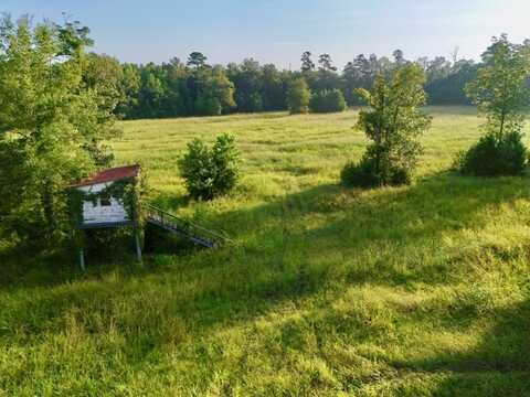 0 Meriwether Road, Pike Road, AL 36064