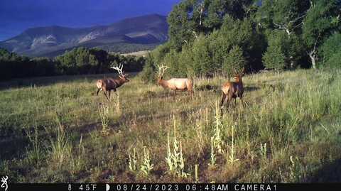 3870 County Road 125, Westcliffe, CO 81252