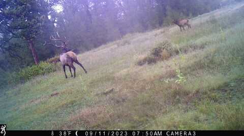 3870 County Road 125, Westcliffe, CO 81252