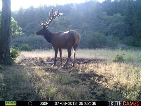 0 Terri Dr., Medford, OR 97504