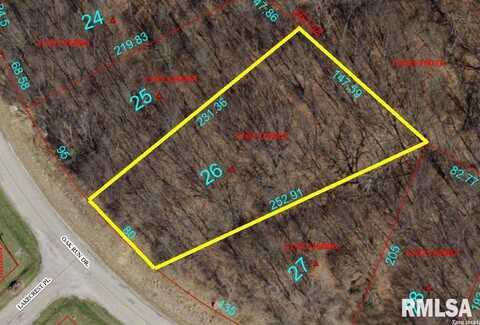 6026 OAK RUN Drive, Dahinda, IL 61428