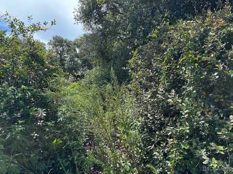 9004 E Gulf To Lake Highway, Inverness, FL 34450
