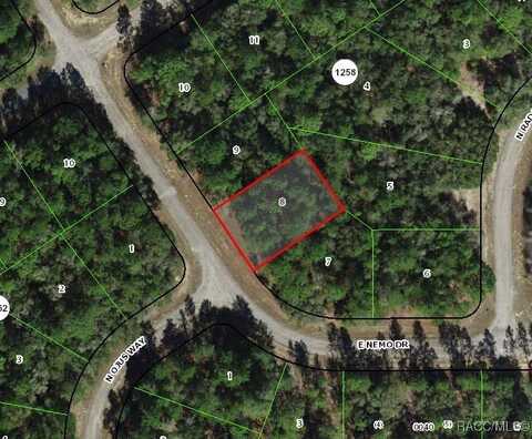 535 E Nemo Drive, Citrus Springs, FL 34434