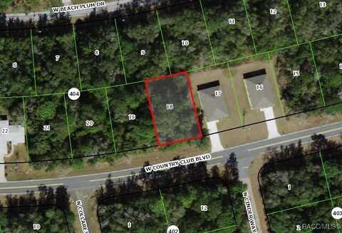1751 W Country Club Boulevard, Citrus Springs, FL 34434