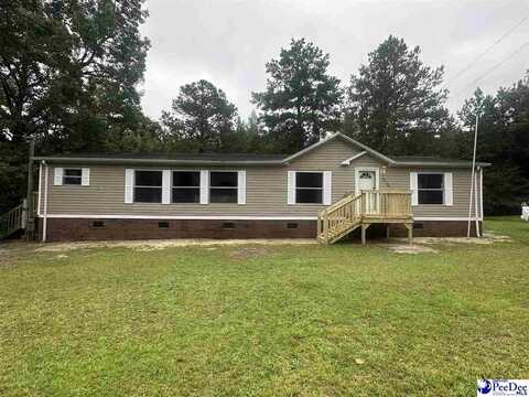 1518 E Effingham Highway, Effingham, SC 29541