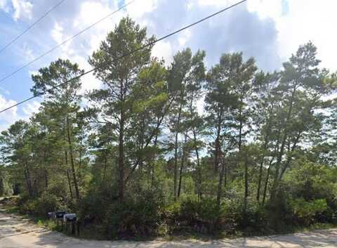 208 Woodill Rd, Carrabelle, FL 32322