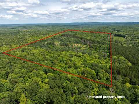 51595 Wisco Road, grand view, WI 54856