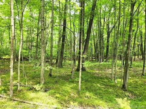 000 Red Fox Run, Lincoln, MI 48622