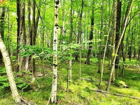 000 Red Fox Run, Farwell, MI 48622