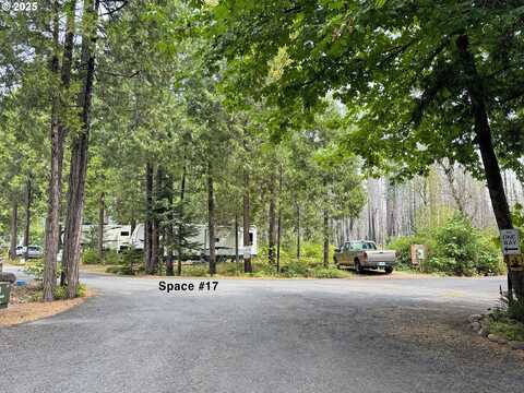 54432 McKenzie HWY, Blue River, OR 97413