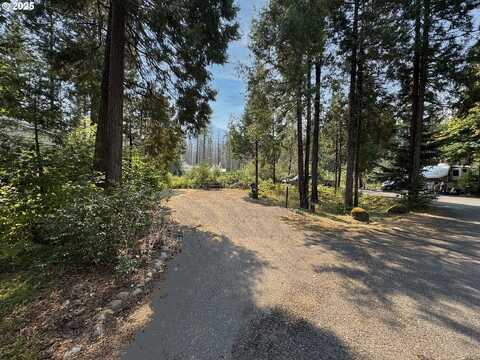 54432 McKenzie HWY, Blue River, OR 97413