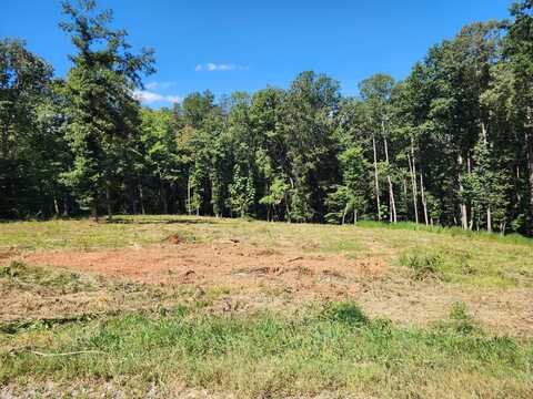 Lot 6 Big River CIR, Glade Hill, VA 24092