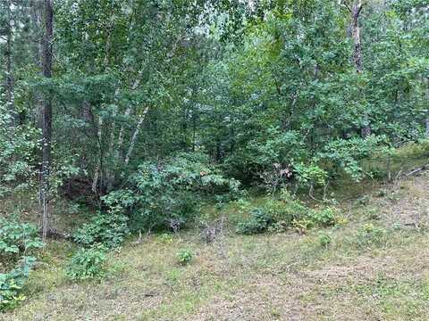 Tbd* W Five Point Lake Road NW, Hackensack, MN 56452