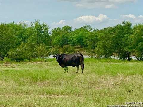 25.83 Ac tbd Kotara Ln/CR 257, Floresville, TX 78114